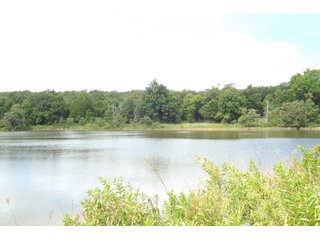 Property photo 68 - REAL ESTATE AUCTION - 1,000+/- ACRES OFFERED IN 10 TRACTS IN PITTSBURG CO., OKLAHOMA